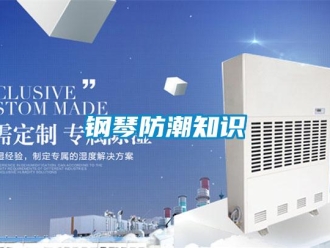 企業(yè)新聞鋼琴防潮知識