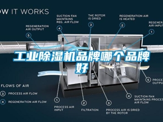 企業(yè)新聞工業(yè)除濕機(jī)品牌哪個(gè)品牌好