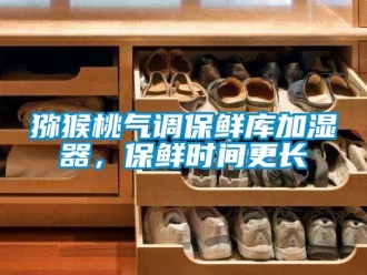 行業(yè)新聞獼猴桃氣調(diào)保鮮庫加濕器，保鮮時間更長