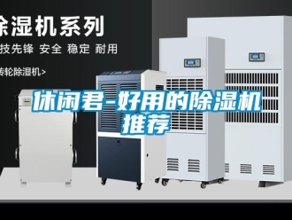 行業(yè)新聞休閑君-好用的除濕機(jī)推薦