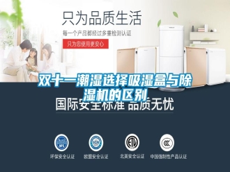 知識百科雙十一潮濕選擇吸濕盒與除濕機的區(qū)別
