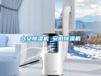 行業(yè)新聞六安除濕機 安徽除濕機