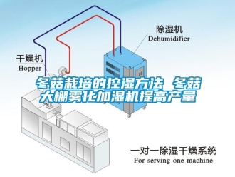企業(yè)新聞冬菇栽培的控濕方法 冬菇大棚霧化加濕機(jī)提高產(chǎn)量