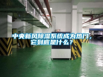 行業(yè)新聞中央新風(fēng)除濕系統(tǒng)成為熱門，它到底是什么？