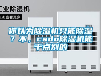 行業(yè)新聞你以為除濕機只能除濕？不，cado除濕機能干點別的