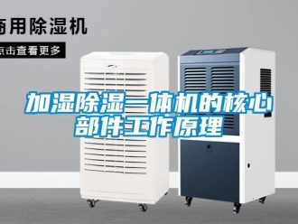 行業(yè)新聞加濕除濕一體機(jī)的核心部件工作原理