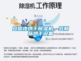 企業(yè)新聞豆腐皮烘干除濕機，豆制品烘干設備