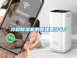 行業(yè)新聞冷卻除濕機的原理是什么？