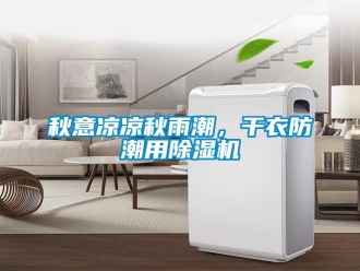 行業(yè)新聞秋意涼涼秋雨潮，干衣防潮用除濕機