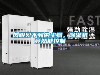 行業(yè)新聞肉眼見不到的塵螨，除濕機竟然能控制