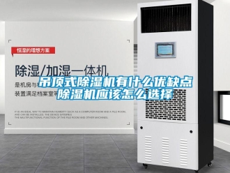 行業(yè)新聞吊頂式除濕機(jī)有什么優(yōu)缺點除濕機(jī)應(yīng)該怎么選擇