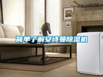 企業(yè)新聞簡(jiǎn)單了解安詩(shī)曼除濕機(jī)