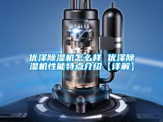 行業(yè)新聞優(yōu)澤除濕機(jī)怎么樣 優(yōu)澤除濕機(jī)性能特點介紹【詳解】