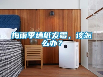 常見問題梅雨季墻紙發(fā)霉，該怎么辦？