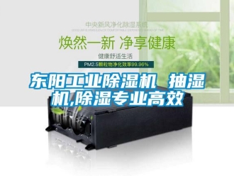 常見(jiàn)問(wèn)題東陽(yáng)工業(yè)除濕機(jī) 抽濕機(jī),除濕專業(yè)高效