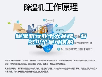 企業(yè)新聞除濕機(jī)行業(yè)十大品牌，有多少個(gè)是可信的