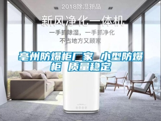 企業(yè)新聞亳州防爆柜廠家 小型防爆柜 質(zhì)量穩(wěn)定
