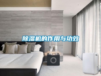 企業(yè)新聞除濕機的作用與功效