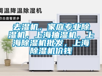 行業(yè)新聞去濕機，家庭專業(yè)除濕機，上海抽濕機，上海除濕機批發(fā)，上海除濕機價錢