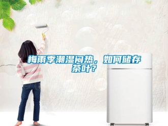 常見問題梅雨季潮濕悶熱，如何儲存茶葉？