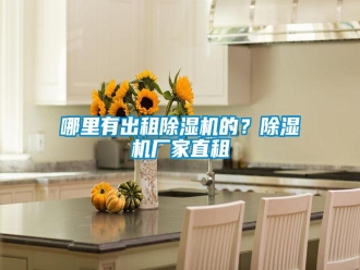 行業(yè)新聞哪里有出租除濕機(jī)的？除濕機(jī)廠家直租