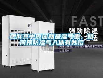 常見(jiàn)問(wèn)題肥胖其中原因就是濕氣重，如何預(yù)防濕氣入體有妙招