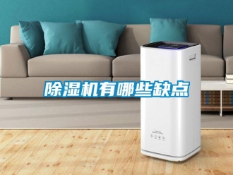 企業(yè)新聞除濕機(jī)有哪些缺點(diǎn)