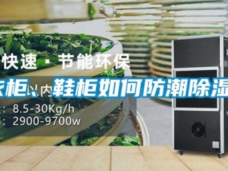 常見問題衣柜、鞋柜如何防潮除濕？