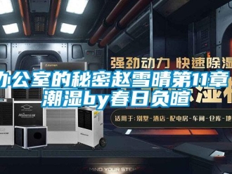 企業(yè)新聞辦公室的秘密趙雪晴第11章 潮濕by春日負暄