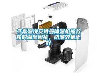 企業(yè)新聞冬季濕冷安詩曼除濕機(jī)拯救你的潮濕困擾，防潮效果更好