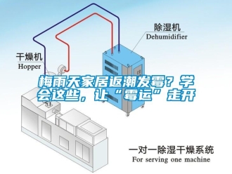 行業(yè)新聞梅雨天家居返潮發(fā)霉？學(xué)會(huì)這些，讓“霉運(yùn)”走開