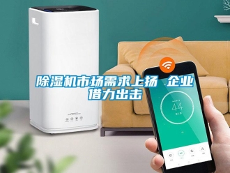 企業(yè)新聞除濕機市場需求上揚 企業(yè)借力出擊