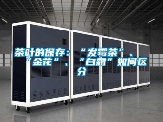 常見問題茶葉的保存：“發(fā)霉茶”、“金花”、“白霜”如何區(qū)分