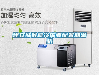 行業(yè)新聞建立獼猴桃冷庫要配置加濕機(jī)