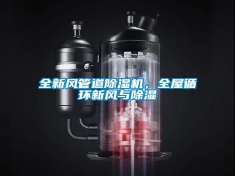 行業(yè)新聞全新風管道除濕機，全屋循環(huán)新風與除濕