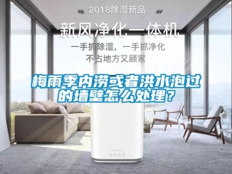 常見問題梅雨季內(nèi)澇或者洪水泡過的墻壁怎么處理？