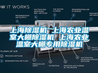 行業(yè)新聞上海除濕機(jī) 上海農(nóng)業(yè)溫室大棚除濕機(jī) 上海農(nóng)業(yè)溫室大棚專用除濕機(jī)