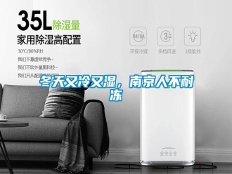 企業(yè)新聞冬天又冷又濕，南京人不耐凍