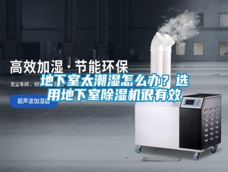 常見(jiàn)問(wèn)題地下室太潮濕怎么辦？選用地下室除濕機(jī)很有效