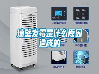 行業(yè)新聞墻壁發(fā)霉是什么原因造成的