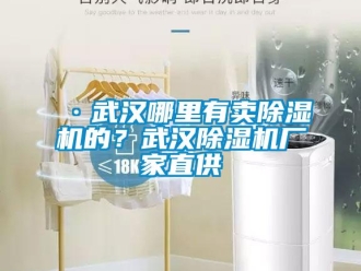 企業(yè)新聞·武漢哪里有賣除濕機的？武漢除濕機廠家直供