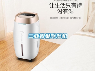 行業(yè)新聞三亞蜂巢除濕機(jī)