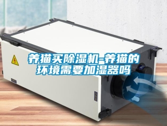 行業(yè)新聞養(yǎng)貓買除濕機(jī)-養(yǎng)貓的環(huán)境需要加濕器嗎