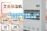 低露點(diǎn)轉(zhuǎn)輪除濕機(jī)，江蘇除濕機(jī)，工業(yè)除濕機(jī)