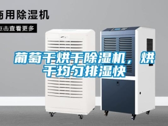 行業(yè)新聞葡萄干烘干除濕機，烘干均勻排濕快