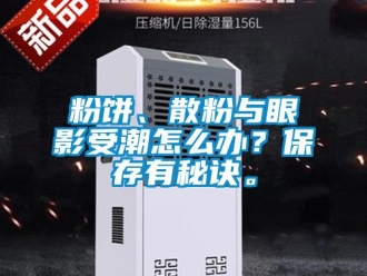 常見問題粉餅、散粉與眼影受潮怎么辦？保存有秘訣。