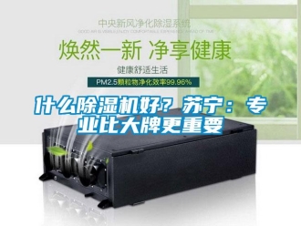 行業(yè)新聞什么除濕機(jī)好？蘇寧：專(zhuān)業(yè)比大牌更重要