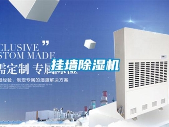 企業(yè)新聞掛墻除濕機(jī)