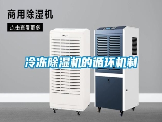 行業(yè)新聞冷凍除濕機的循環(huán)機制