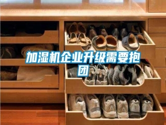 行業(yè)新聞加濕機(jī)企業(yè)升級(jí)需要抱團(tuán)